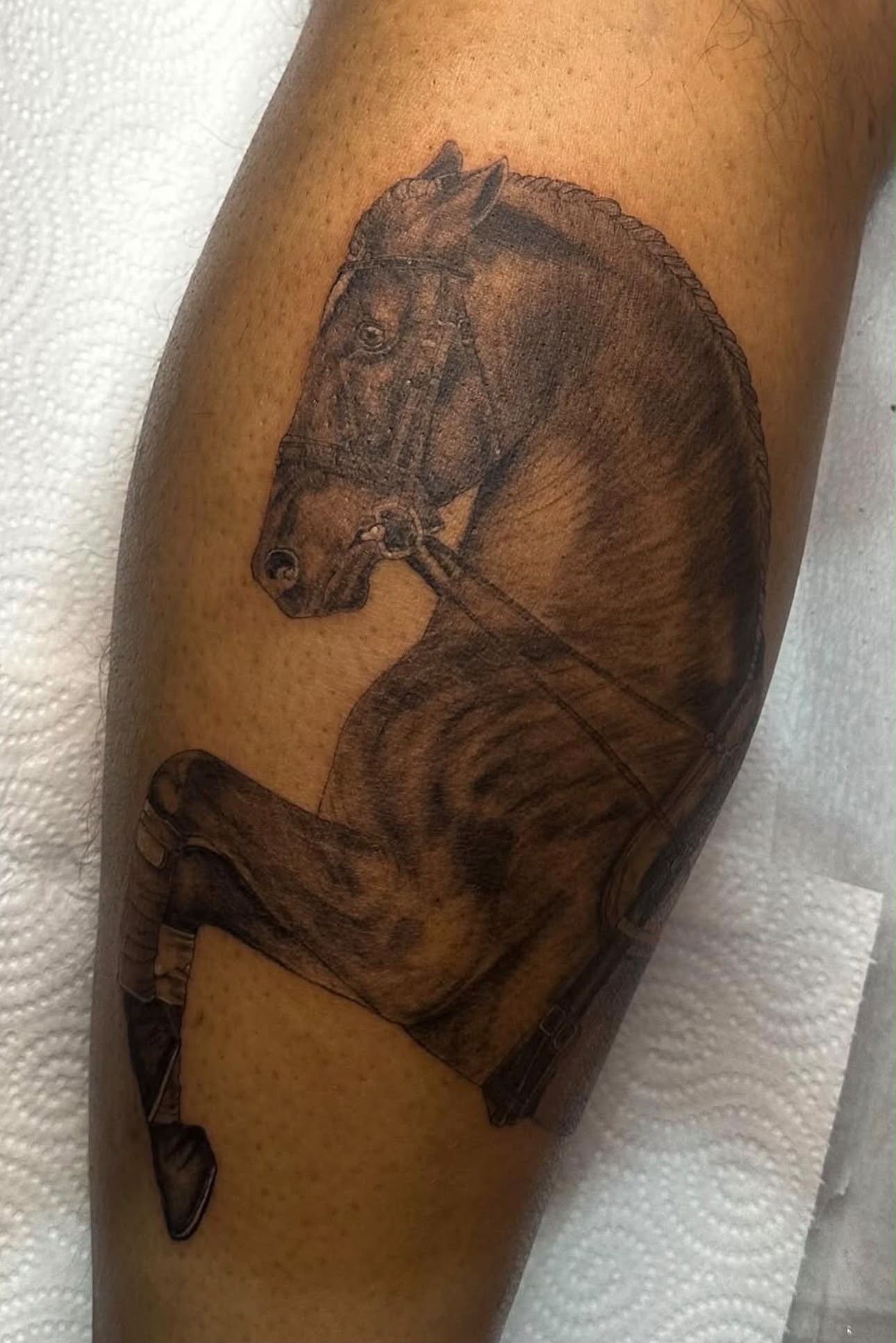 Tatuaje de estilo realismo de LuciTattooArt